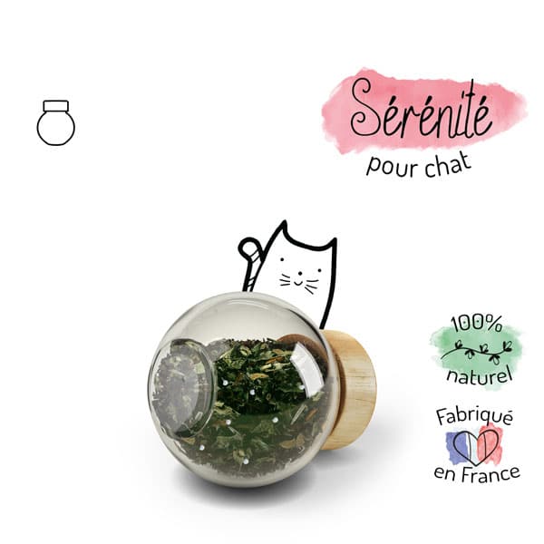 Recharge Serenite Pour Chats Stress Anxiete Truffe Moustache Recharge Serenite Pour Chats Stress Anxiete Truffe Moustache