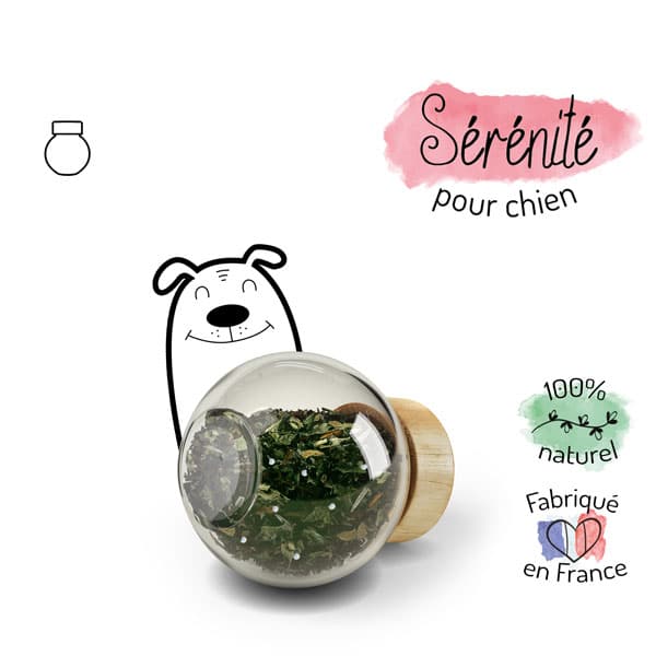 Antistress u0026 Apaisant , complément alimentaire pour chiens , Recharge ,  Sérénité
