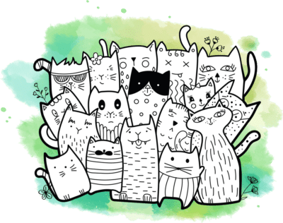 Chat
