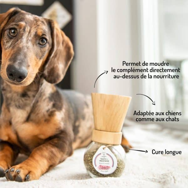 Cure longue moulin compléments alimentaires Sérénité pour chien et chat points forts