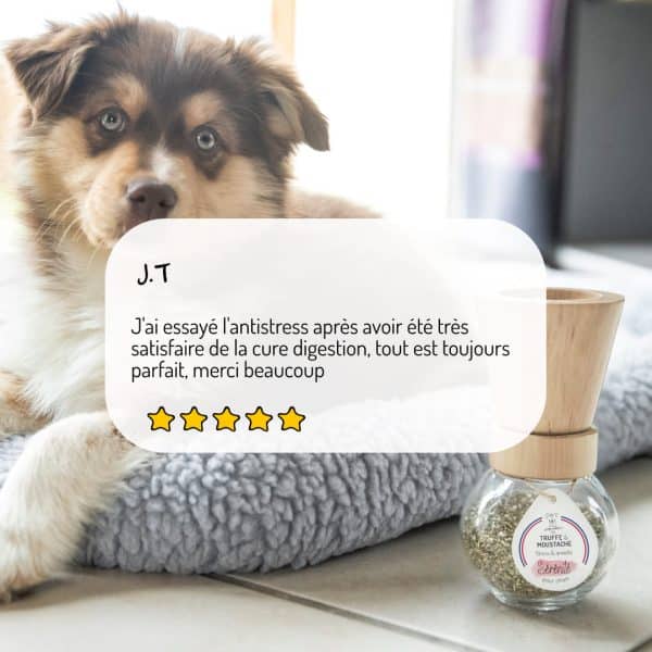 Cure longue moulin compléments alimentaires Sérénité pour chien et chat avis