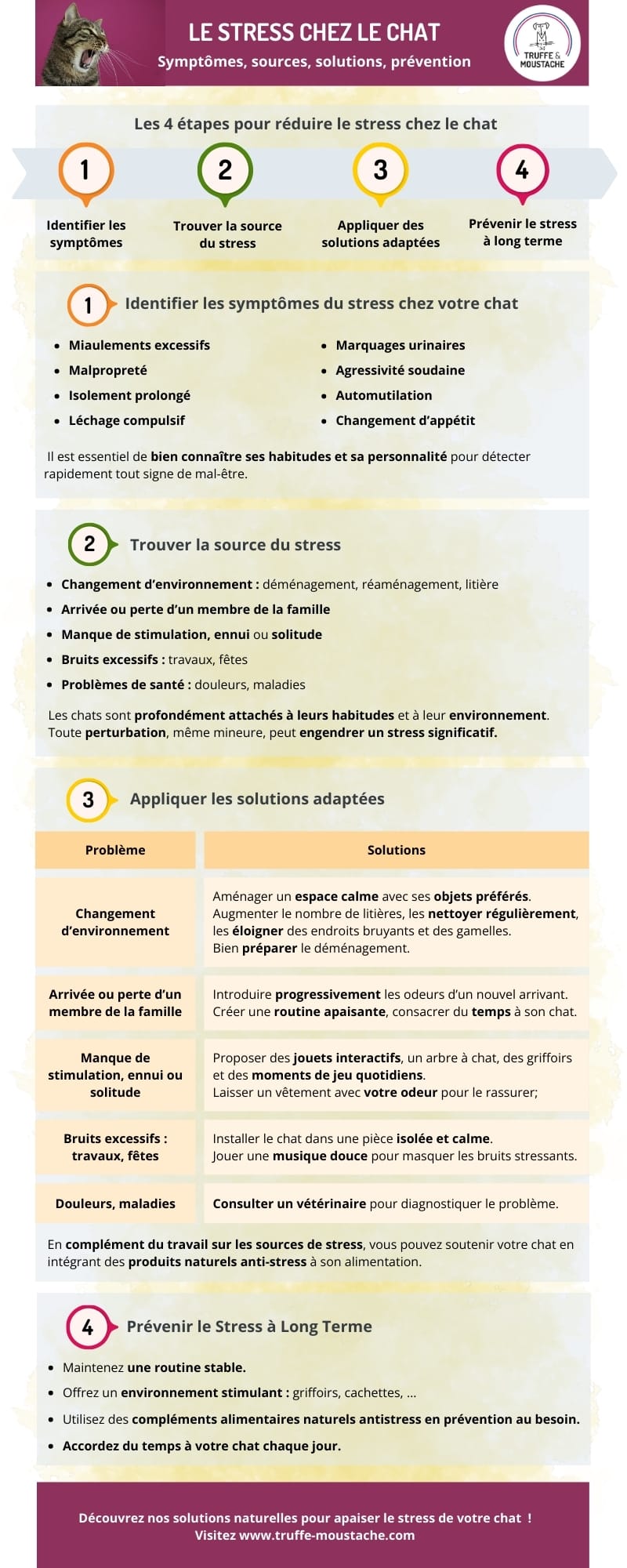 Infographie du stress chez le chat : Symptômes, Sources, Solutions naturelles, Prévention