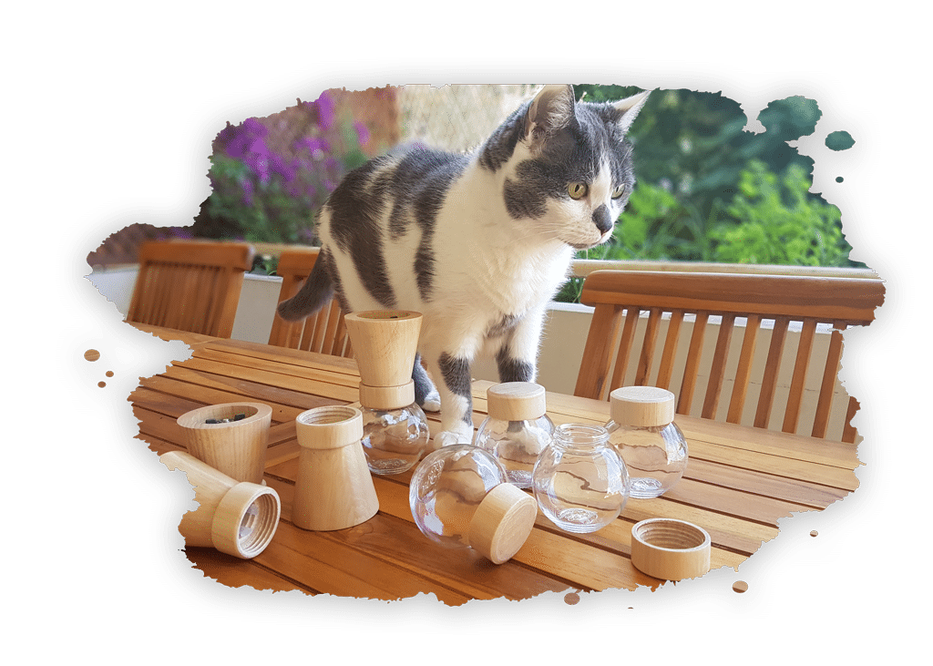 leeloo chat truffe & moustache