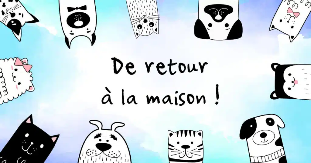 conseils retour de vacances chiens et chats