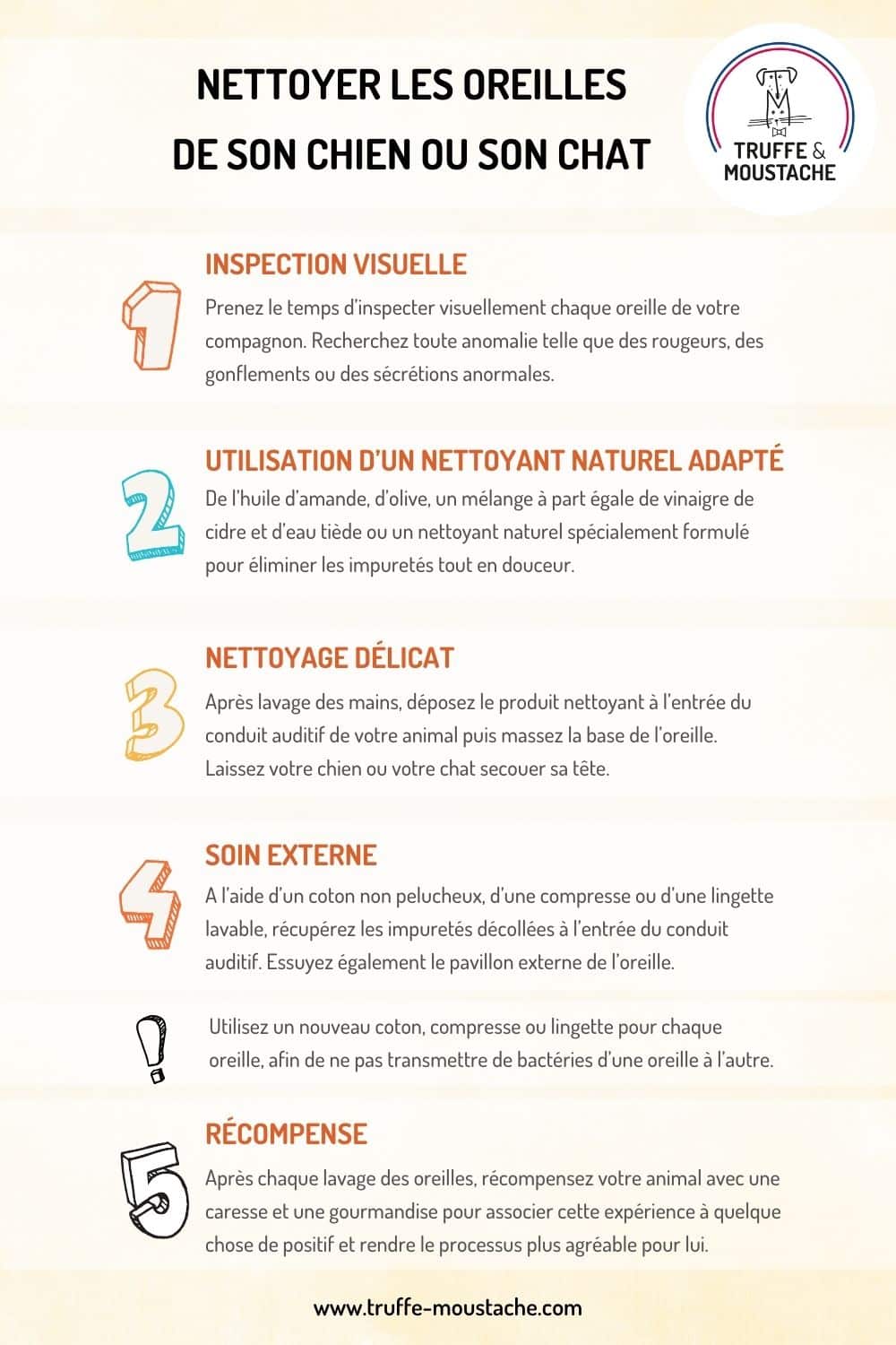 infographie 5 étapes pour nettoyer les oreilles de son chien ou son chat