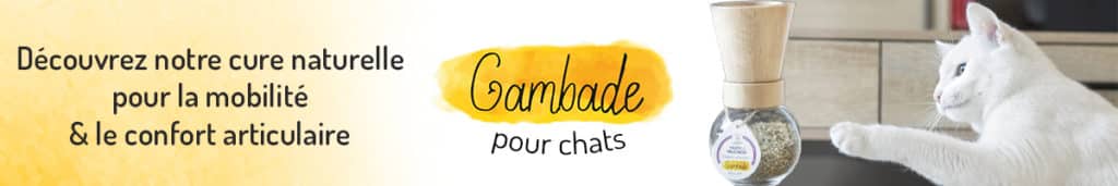 Découvrez Gambade Mobilite Confort Articulaire Chats