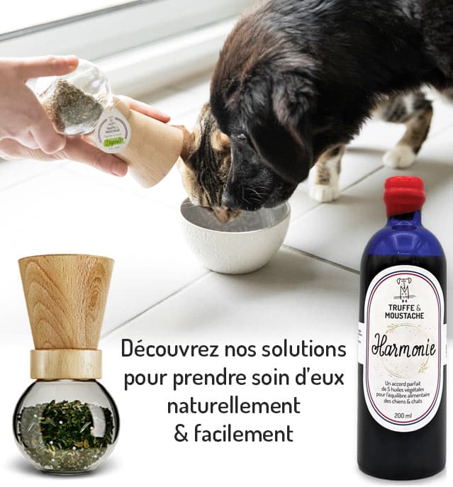 decouvrez soin naturel pour chiens et chats