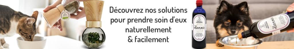 découvrez soin naturel pour chien et chat