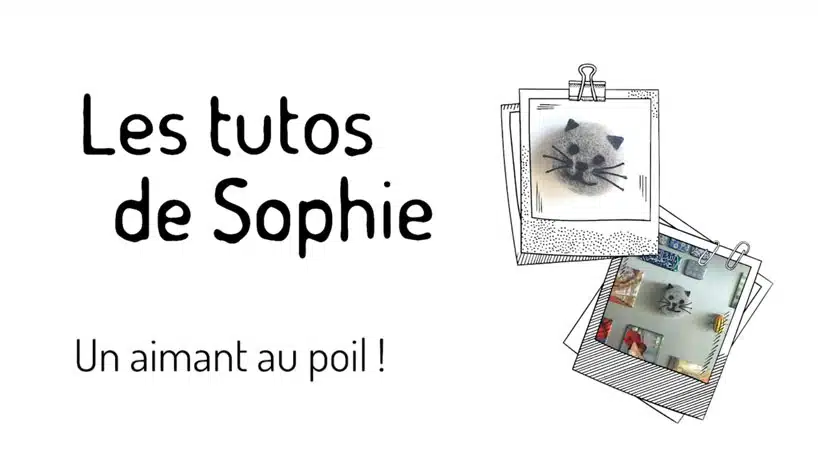 tutoriel Sophie aimant poil chat chien