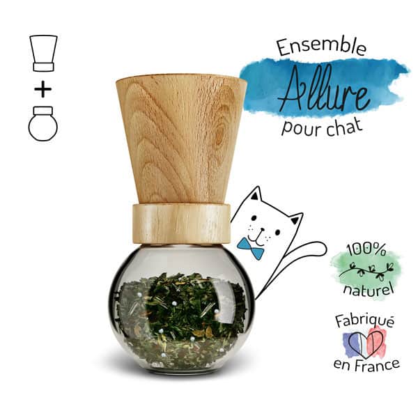 Prendre Soin Du Pelage De Son Chat Au Naturel Truffe Moustache Prendre Soin Du Pelage De Son Chat Au Naturel Truffe Moustache