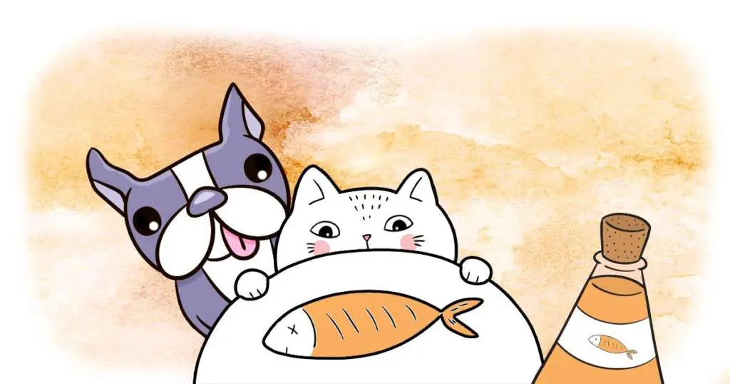 huile de saumon chiens chats