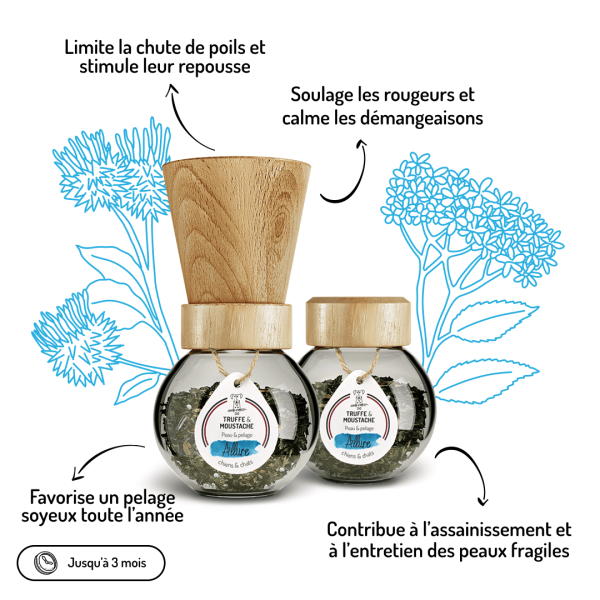 Cure longue moulin compléments alimentaires Allure pour chien et chat bienfaits