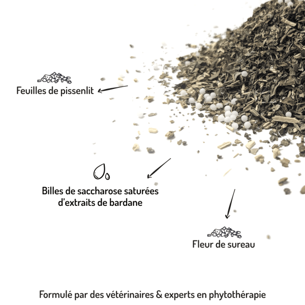 Cure longue moulin compléments alimentaires Allure pour chien et chat points forts