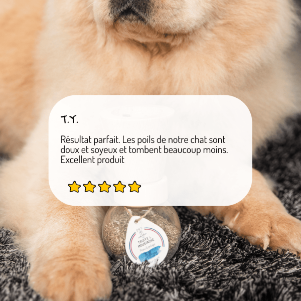Cure longue moulin compléments alimentaires Allure pour chien et chat
