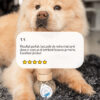 Cure longue moulin compléments alimentaires Allure pour chien et chat avis