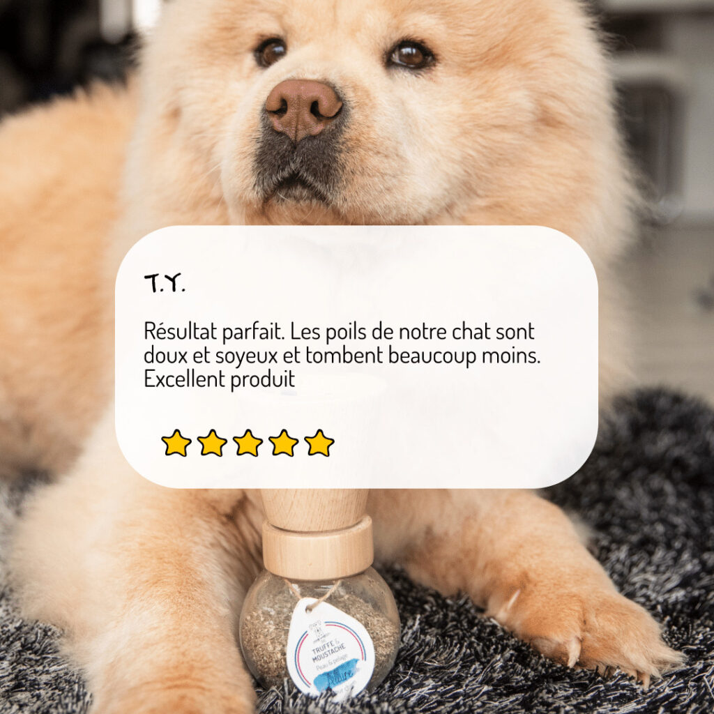 Cure longue moulin compléments alimentaires Allure pour chien et chat avis