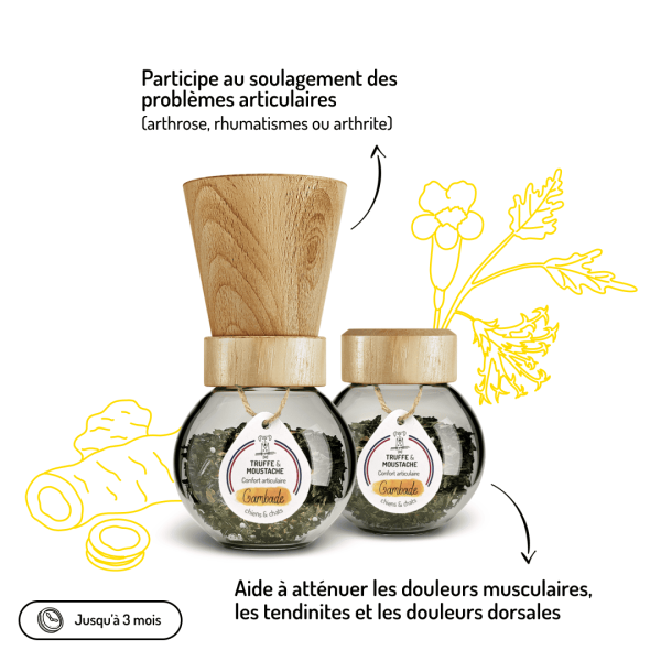 Cure longue moulin compléments alimentaires Gambade pour chien et chat bienfaits