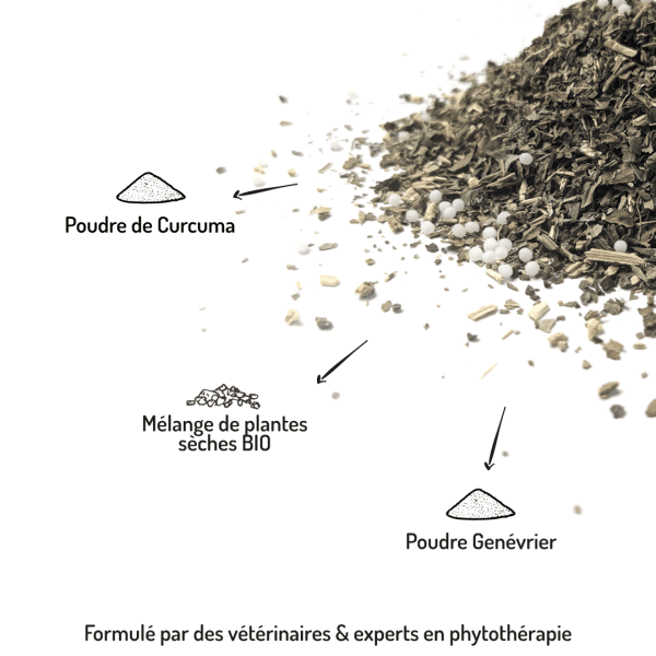 Cure longue moulin compléments alimentaires Gambade pour chien et chat points forts