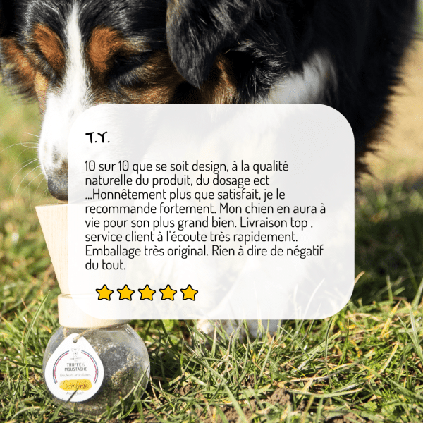 Cure longue moulin compléments alimentaires Gambade pour chien et chat avis