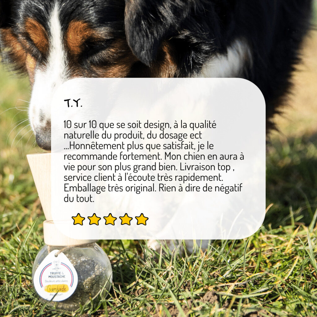 Cure longue moulin compléments alimentaires Gambade pour chien et chat avis