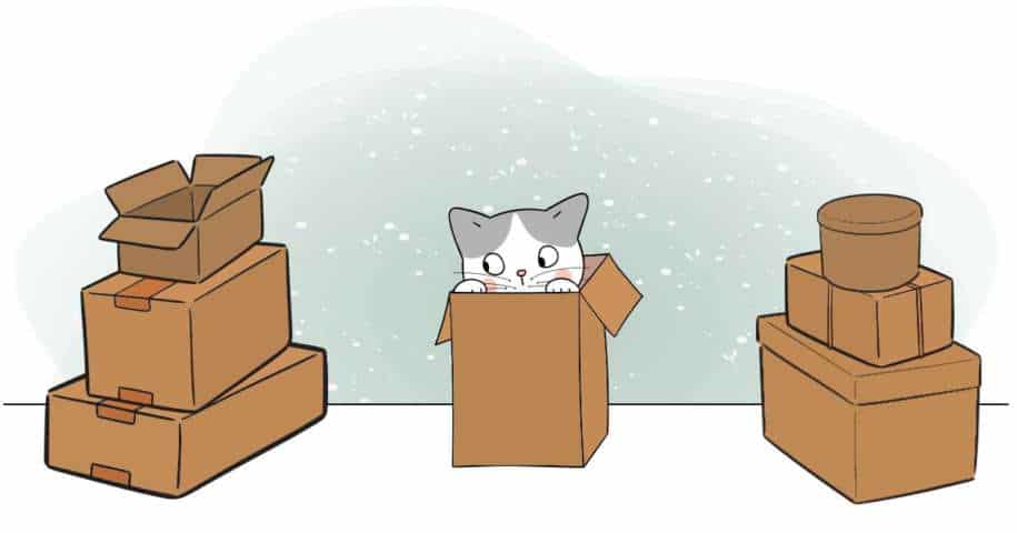 Bien Accompagner Son Chat Pendant Un Demenagement Truffe Moustache Bien Accompagner Son Chat Pendant Un Demenagement Truffe Moustache
