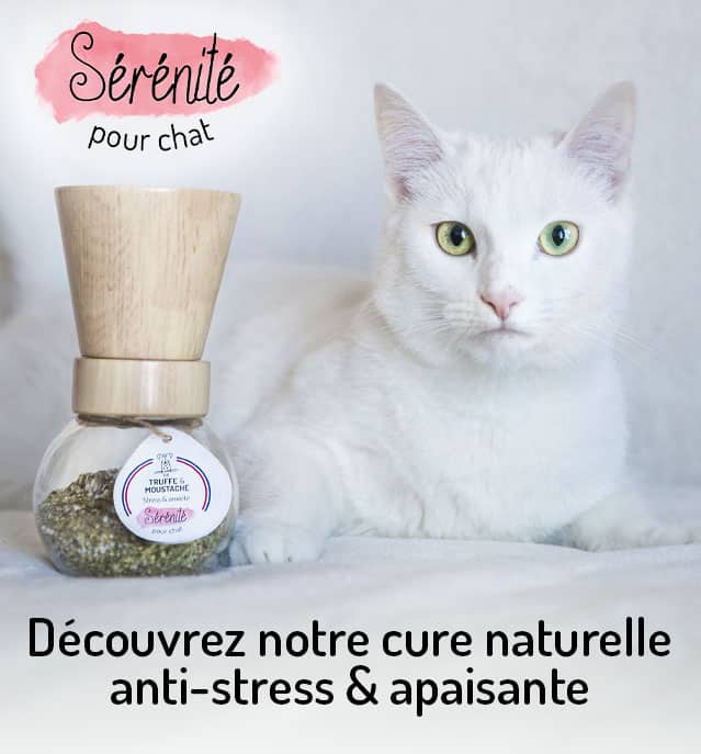 Découvrez Serenite Cure Anti Stress Apaisant Chats