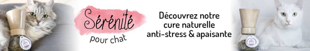 Découvrez Serenite Cure Anti Stress Apaisant Chats