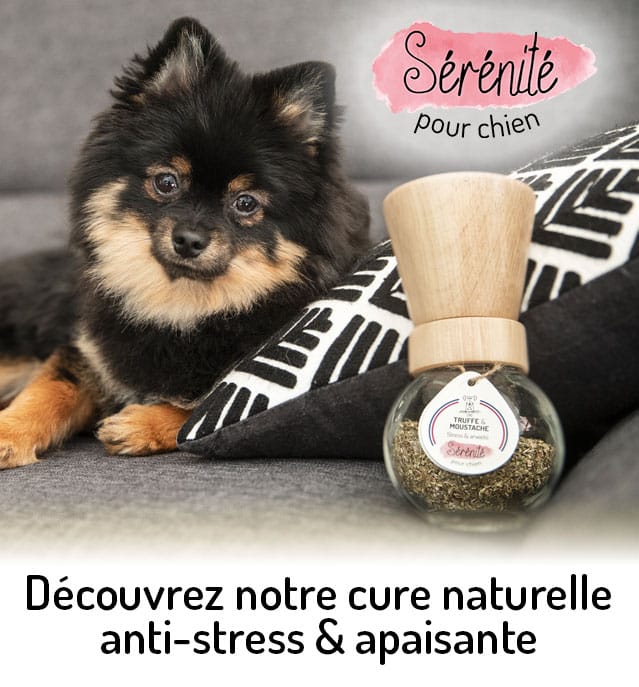 Découvrez Serenite Cure Anti Stress Apaisant Chiens