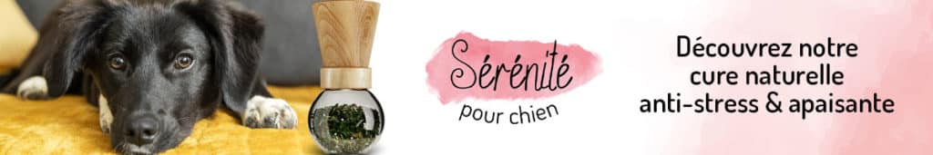 Découvrez Serenite Cure Anti Stress Apaisant Chiens