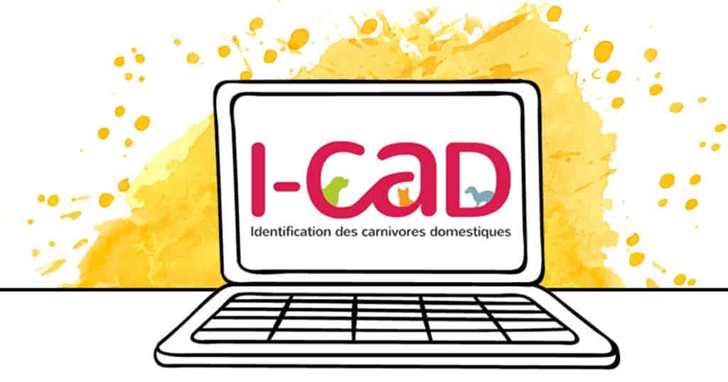 ICAD identification des carnivores domestiques chiens chats