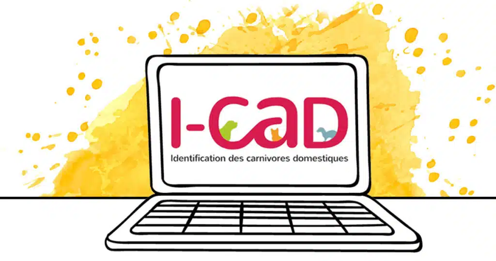 ICAD identification des carnivores domestiques chiens chats