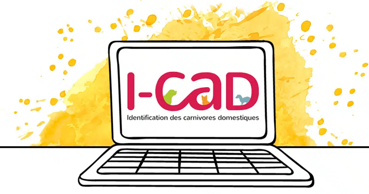 ICAD identification des carnivores domestiques chiens chats