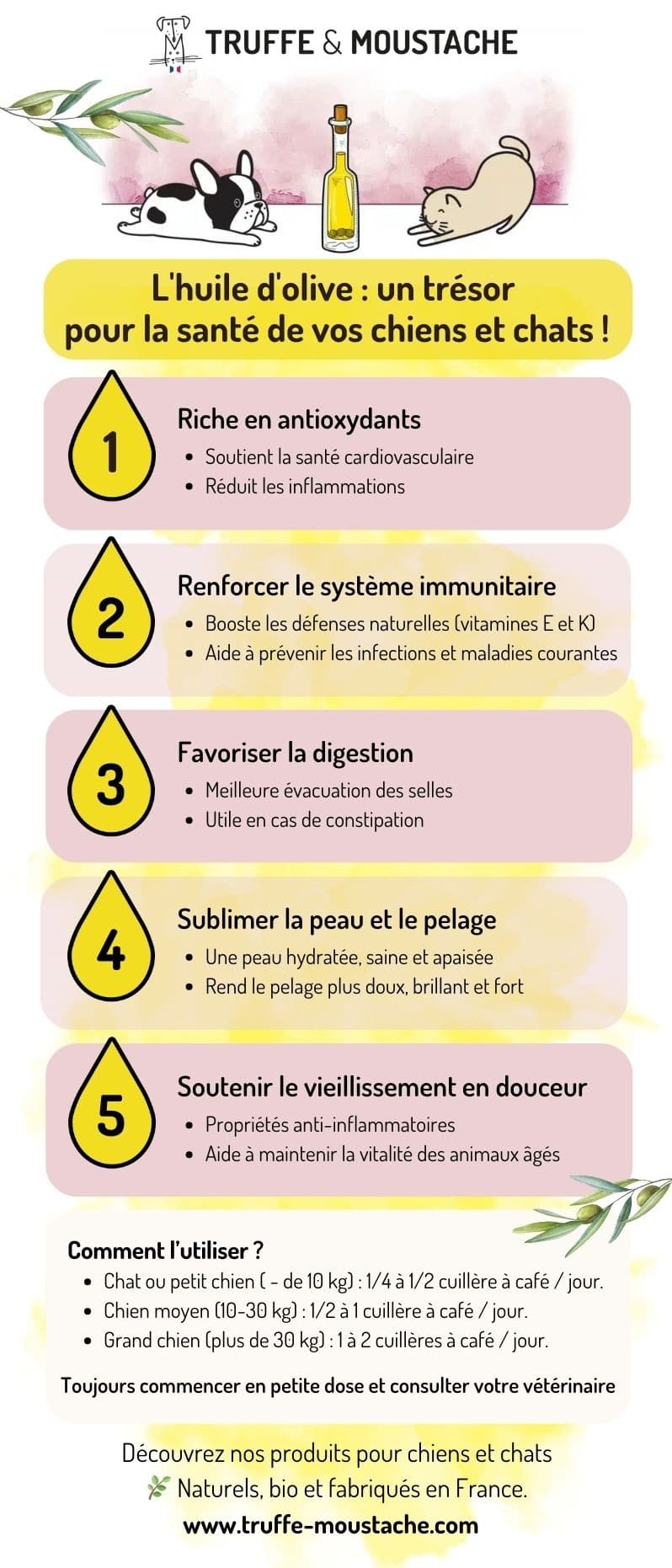 Infographie bienfaits huile d'olive chiens chats