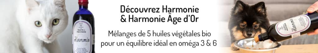 Découvrez Harmonie Huile Vegetale Chiens Chats