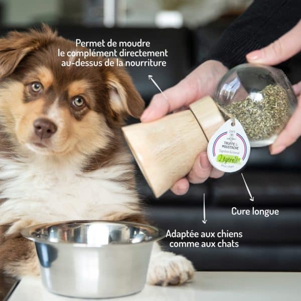 Cure longue moulin compléments alimentaires Légèreté pour chien et chat points forts