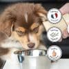 Cure longue moulin compléments alimentaires Légèreté pour chien et chat points forts