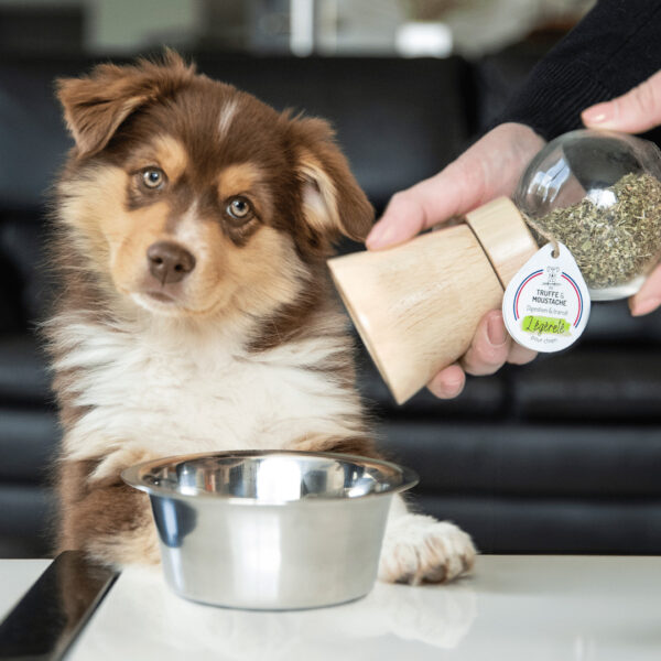 Cure longue moulin compléments alimentaires Légèreté pour chien et chat