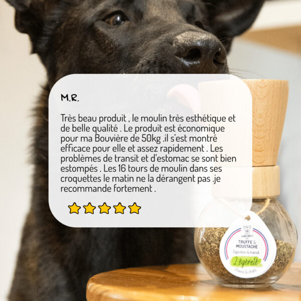 Cure longue moulin compléments alimentaires Légèreté pour chien et chat avis