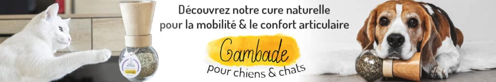 Découvrez Gambade Mobilite Confort Articulaire Chiens Chats