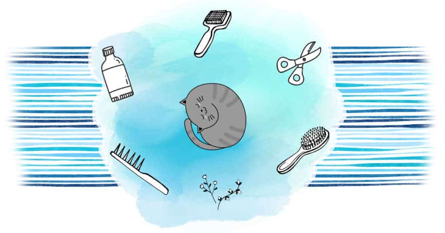 Prendre Soin Du Pelage De Son Chat Au Naturel Truffe Moustache Prendre Soin Du Pelage De Son Chat Au Naturel Truffe Moustache