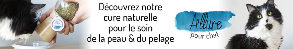 Découvrez Allure Soin Peau Pelage Chat