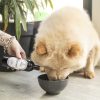 huiles végétales pour chiens et chats : complément alimentaire oméga 3 et 6