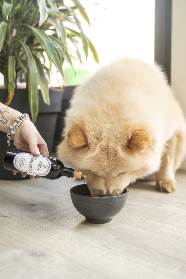 Huile de chanvre chien et chat bio - Compléments pour chat et chien