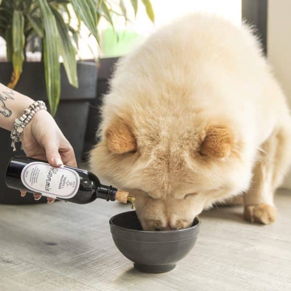huiles végétales pour chiens et chats : complément alimentaire oméga 3 et 6