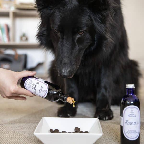 compléments alimentaires pour chiens & chats, huile végétale dans la gamelle, oméga 3 et 6