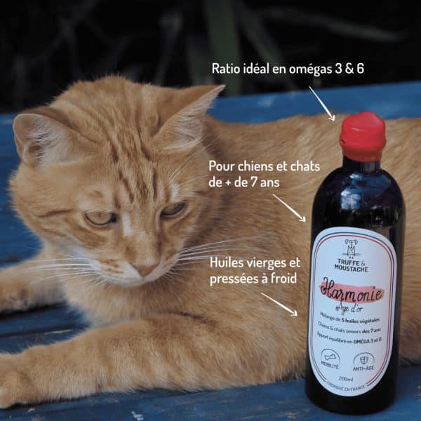 huile végétale harmonie âge d'or pour chien et chat senior points forts