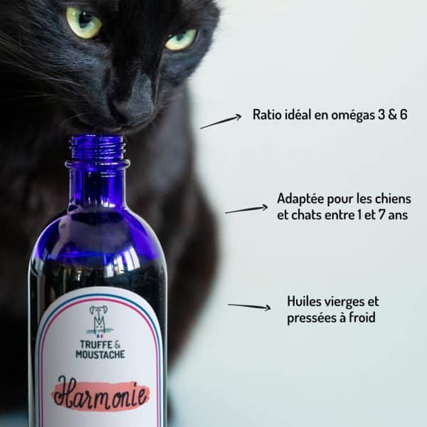 huile végéale harmonie pour chien et chat points forts