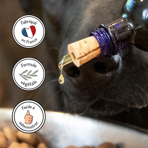 huile végéale harmonie pour chien et chat bienfaits