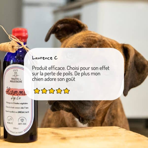 huile végétale harmonie âge d'or pour chien et chat senior