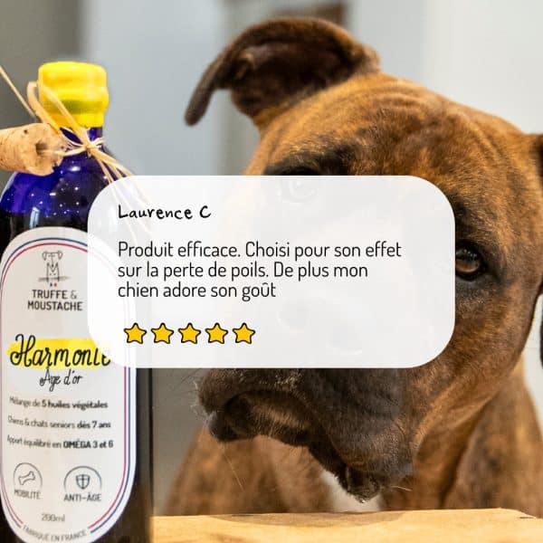 huile végétale harmonie âge d'or pour chien et chat senior